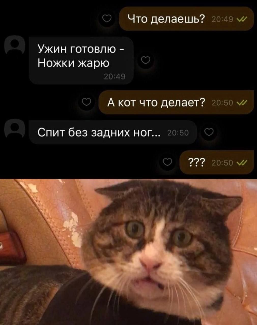 Что делаешь 2049 4 Ужин готовлю Ножки жарю 2049 Акот что делает 2050 Спит без задних ног 2050