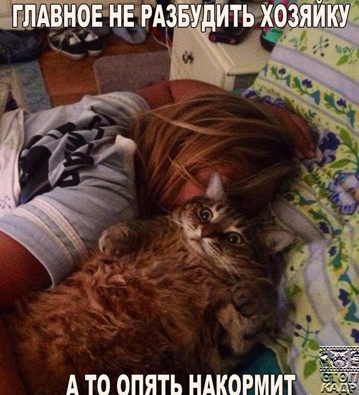 А ТО ОПЯТЬ НАКОРМИТ