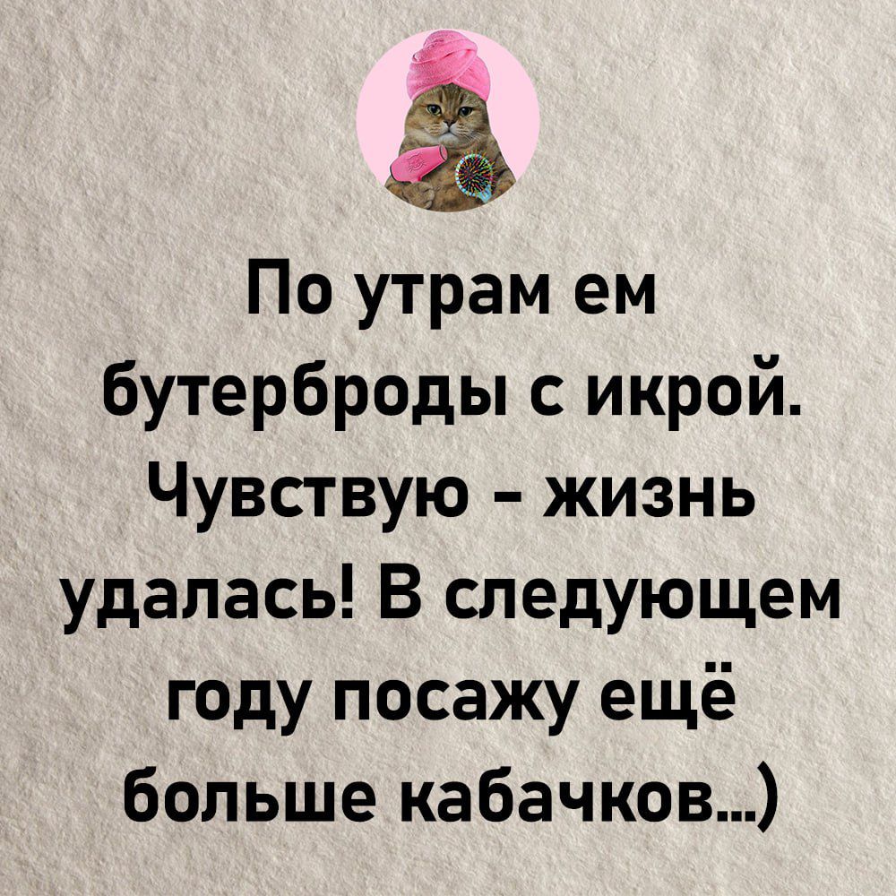 По утрам ем бутерброды с икрой Чувствую жизнь удалась В следующем году посажу ещё больше кабачков