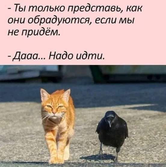 Ты только представь как они обрадуются если мы не придём Дава Надо идти