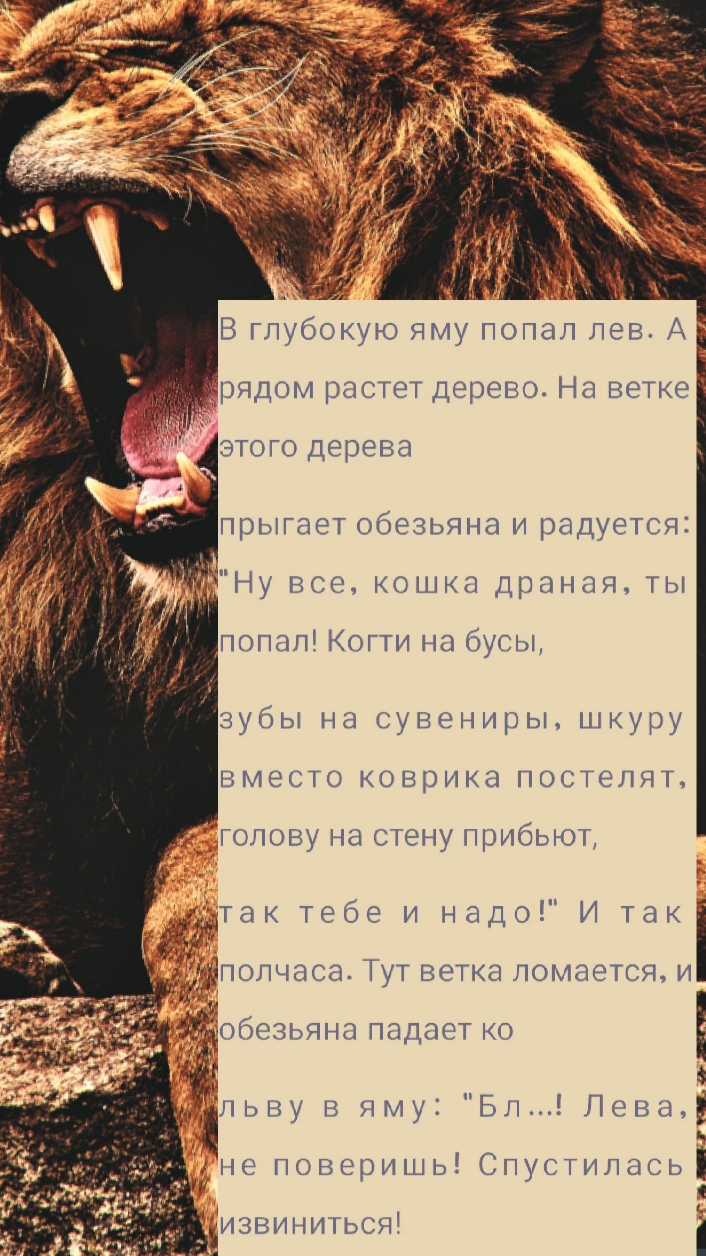 В глубокую яму попал лев А рядом растет дерево На ветке этого дерева прыгает обезьяна и радуется Ну все кошка драная ты попал Когти на бусы 3 Вубы на сувениры шкуру вместо коврика постелят нголову на стену прибьют Ютак тебе и надо И так о Уйполчаса Тут ветка ломается цобезьяна падает ко льву в яму Бл Лева Фне поверишь Спустилас ы извиниться