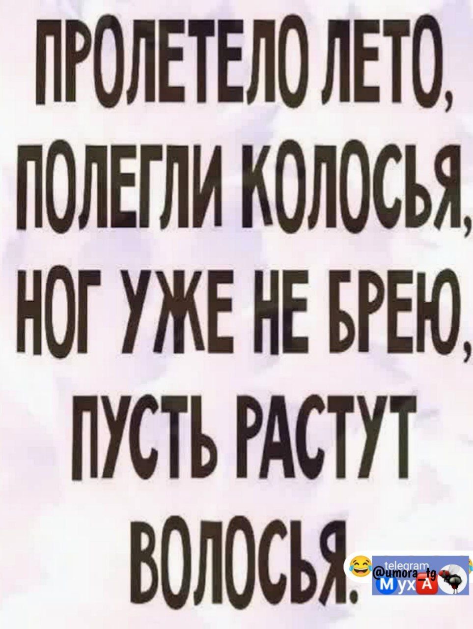 ПРОЛЕТЕЛО ЛЕТО ПОЛЕГЛИ КОЛОСЬЯ НГ УЖЕ НЕ БРЕЮ ПУСТЬ РАСТУТ ВОЛОСЪЯБ