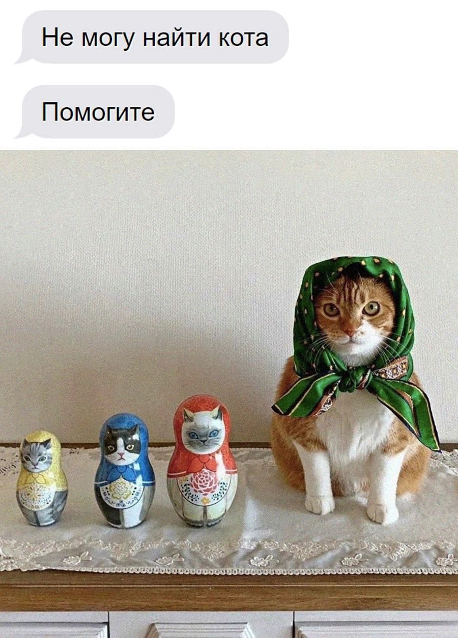 Не могу найти кота Помогите