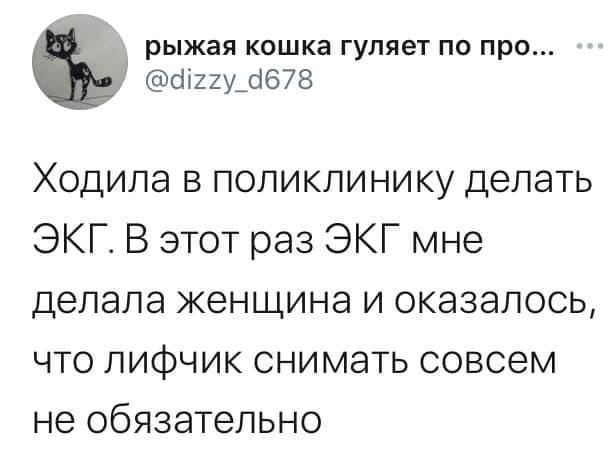 рыжая кошка гуляет по про ггу_ а678 Ходила в поликлинику делать ЭКГ В этот раз ЭКГ мне делала женщина и оказалось что лифчик снимать совсем не обязательно