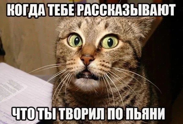 ЧТОТЫ ТВОРИЛ ПО ПЬЯНИ