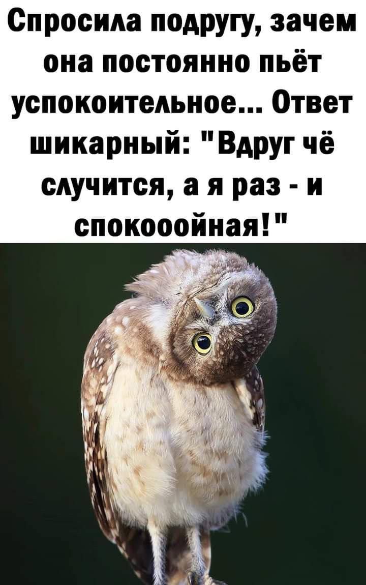 Спросила подругу зачем она постоянно пьёт успокоительное Ответ шикарный Вдруг чё случится а я раз и спокосойная