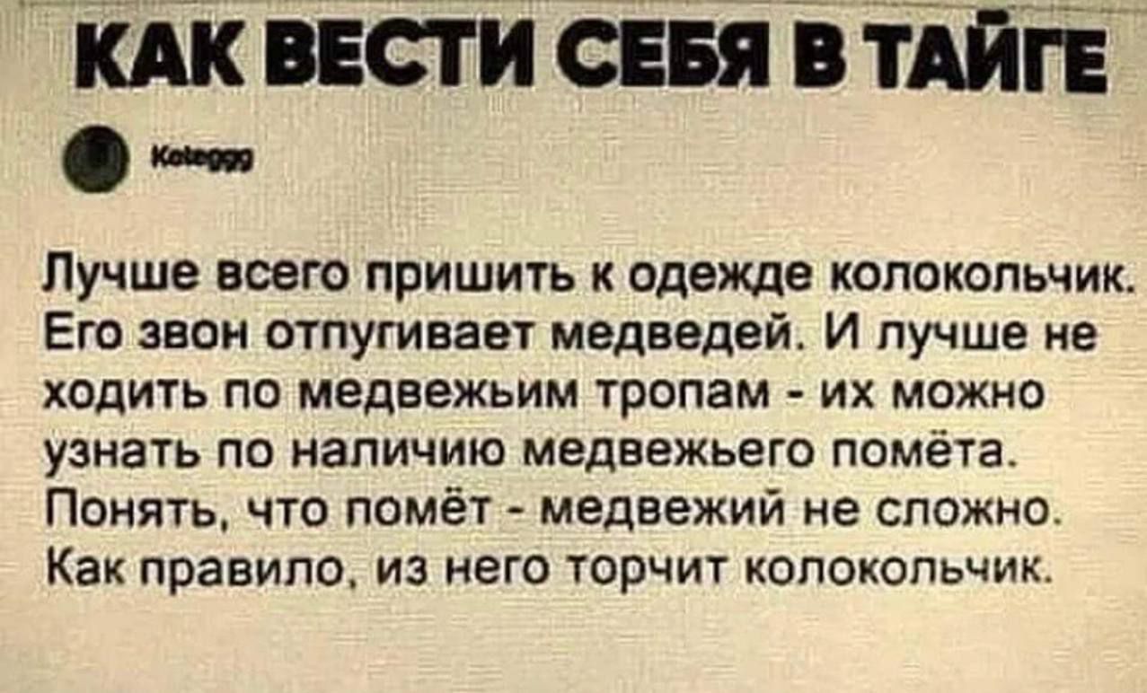 КАК ВЕСТИ СЕБЯ В ТАЙГЕ ио Лучше всего пришить к одежде колокольчик Его звон отпугивает медведей И лучше не ходить по медвежьим тропам их можно узнать по наличию медвежьего помёта Понять что помёт медвежий не сложно Как правило из него торчит колокольчик