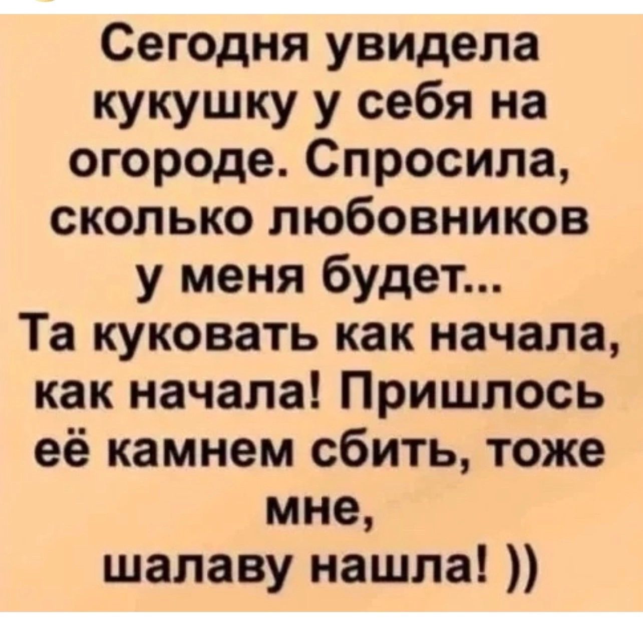 Сегодня увидела кукушку у себя на огороде Спросила сколько любовников у меня будет Та куковать как начала как начала Пришлось её камнем сбить тоже мне шалаву нашла