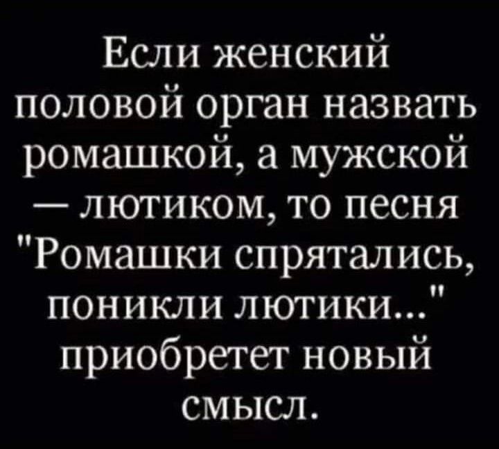 Если женский половой орган назвать ромашкой а мужской лютиком то песня Ромашки спрятались поникли лютики 110 о1е уе мй 3 51 смысл