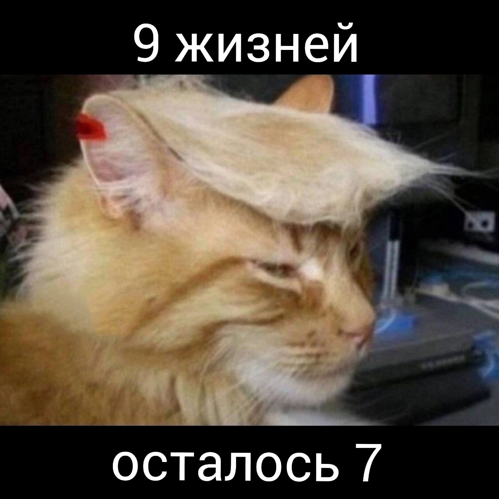 9 жизней оТез к е е э