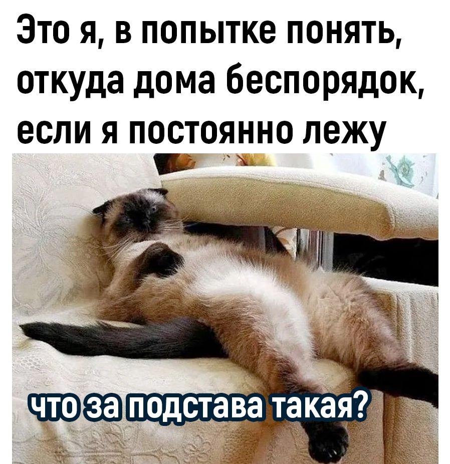 Это я в попытке понять откуда дома беспорядок если я постоянно лежу