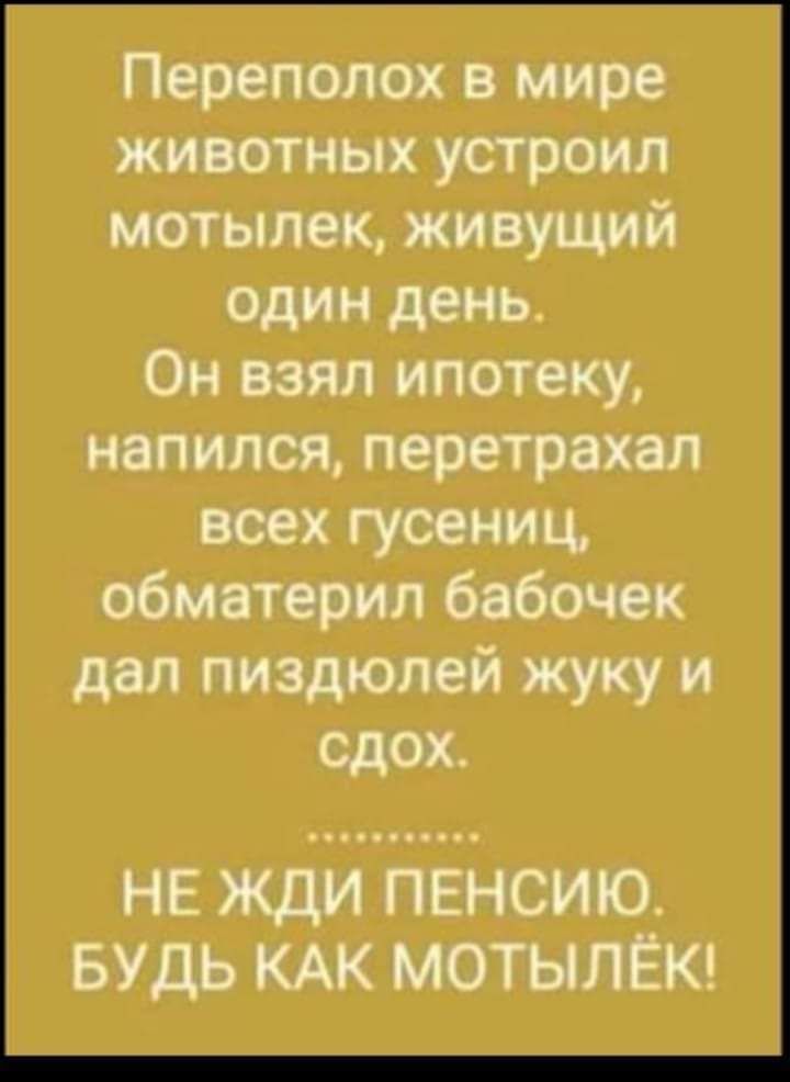 Переполох в мире животных устроил мотылек живущий один день Он взял ипотеку напился перетрахал всех гусениц обматерил бабочек дал пиздюлей жуку и о7 1 НЕ ЖДИ ПЕНСИЮ БУДЬ КАК МОТЫЛЁК