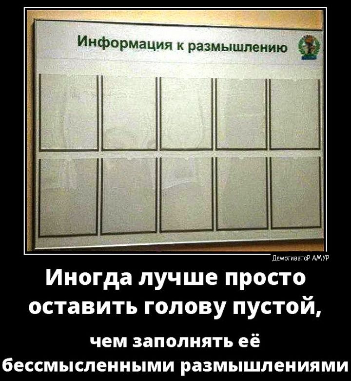 Информация к размышлению Иногда лучше просто оставить голову пустой чем заполнять её бессмысленными размышлениями