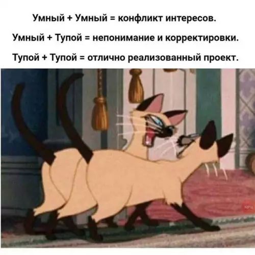 Умный Умный конфликт интересов Умный Тупой непонимание и корректировки Тупой Тупой отлично реализованный проект