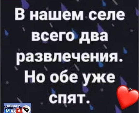 В нашём селе всего два развлечения Но обе уже СПЯТ