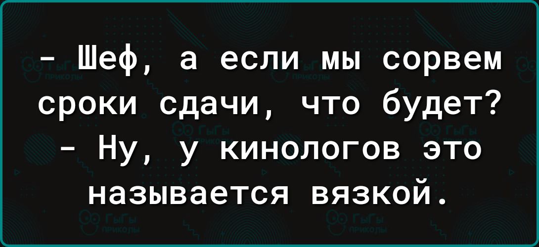 Шеф а если мы сорвем сроки сдачи что будет Ну у кинологов это называется вязкой