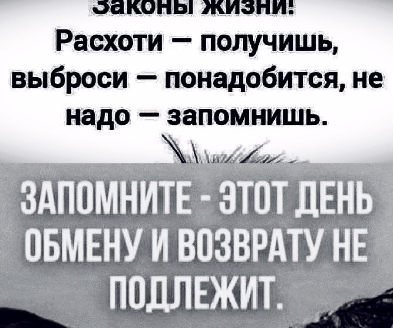 аконы жизни Расхоти получишь выброси понадобится не надо запомнишь ЗАПОМНИТЕ ЭТОТ ДЕНЬ ОБМЕНУИ ВОЗВРАТУ НЕЛ ПОДЛЕЖИТ ЛЙ