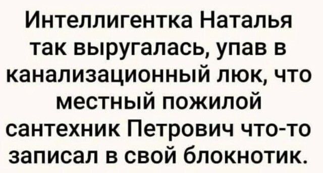 Интеллигентка Наталья так выругалась упав в канализационный люк что местный пожилой сантехник Петрович что то записал в свой блокнотик