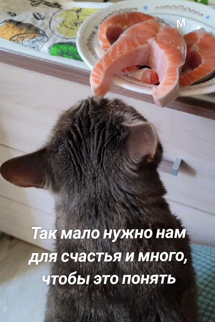 ало нужно на я счастья и много