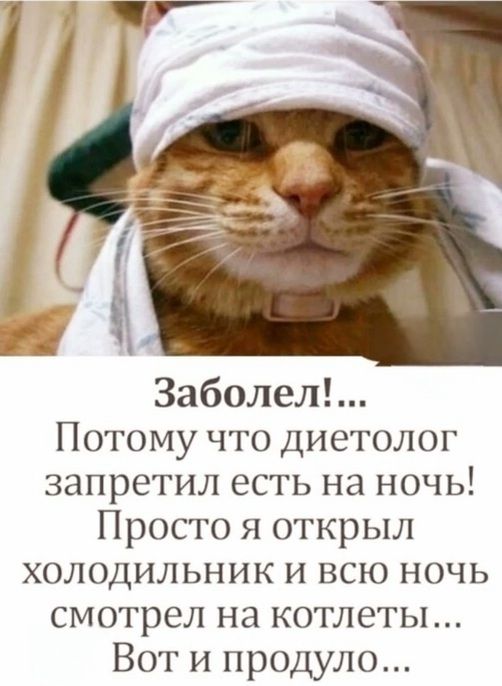 Заболел Потому что диетолог запретил есть на ночь Просто я открыл холодильник и всю ночь смотрел на котлеты Вот и продуло