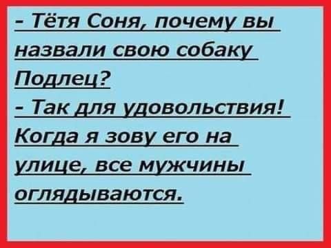 Тётя Соня почему вы назвали свою собаку_ Подлец Так для удовольствия Когда я зову его на улице все мужчины оглядываются