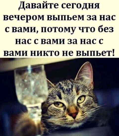 Давайте сегодня вечером выпьем за нас свами потому что без нас свами за нас с вами никто не выпьет