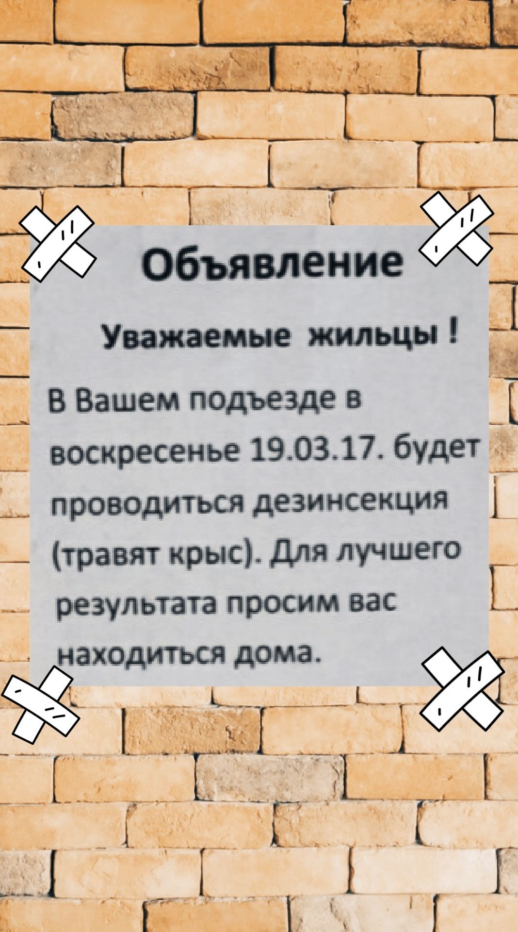 В Вашем подъезде в воскресенье 190317 будет проводиться дезинсекция травят крыс Для лучшего результата просим вас _ находиться дома о ИВаИ 1_3 В ЛеЖЕЕ Г х 4 Гуе і ш о