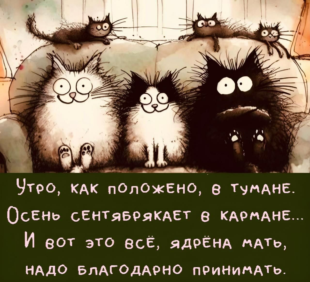 М оыы ролочЩ Чтео кдК пОлОЖЕНО ТУМАНЕ ОсЕень сЕНТяБРЯКАЕТ КАРМАНЕ Й вот это всЁ ядеЁнА мАТЬ НАДО БЛАГОДАРНО пРИНИМАТЬ