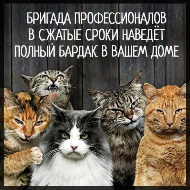 БРИГАДА ПРОФЕССИОНАЛОВ В СЖАТЫЕ СРОКИ НАВЕДЁТ ПОЛНЫЙ БАРДАК В ВАШЕМ ДОМЕ АУ