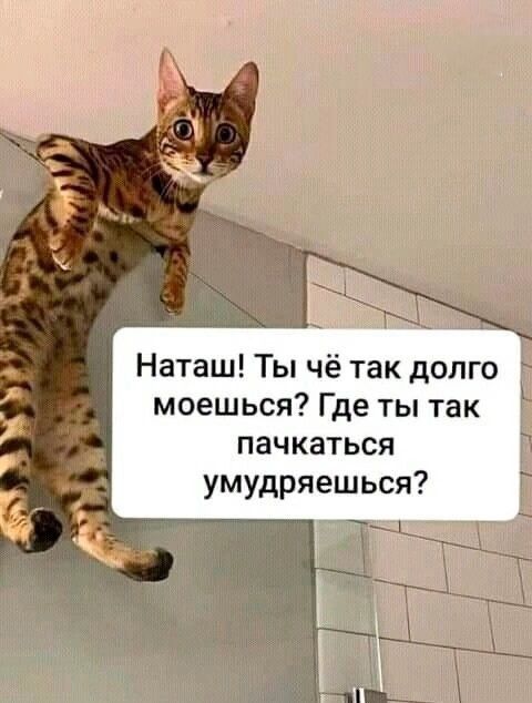 Наташ Ты чё так долго моешься Где ты так пачкаться умудряешься