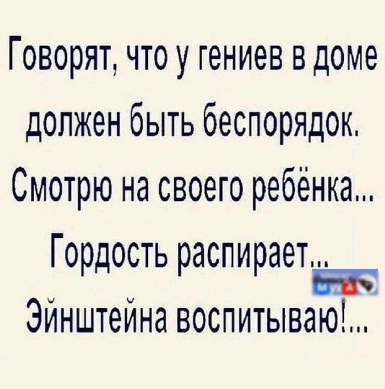 Говорят что у гениев в доме должен быть беспорядок Смотрю на своего ребёнка Гордость распирает рд распир ВЕЬ Эйнштейна воспитываю