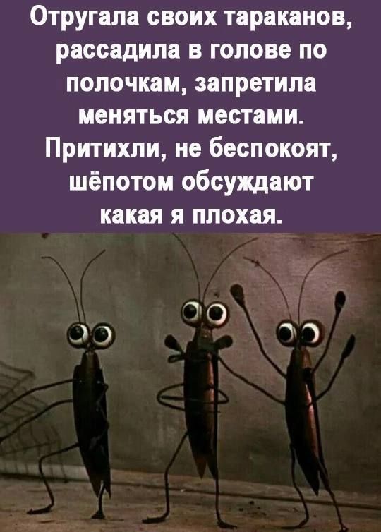 Отругала своих тараканов рассадила в голове по полочкам запретила меняться местами Притихли не беспокоят шёпотом обсуждают какая я плохая е 6 е