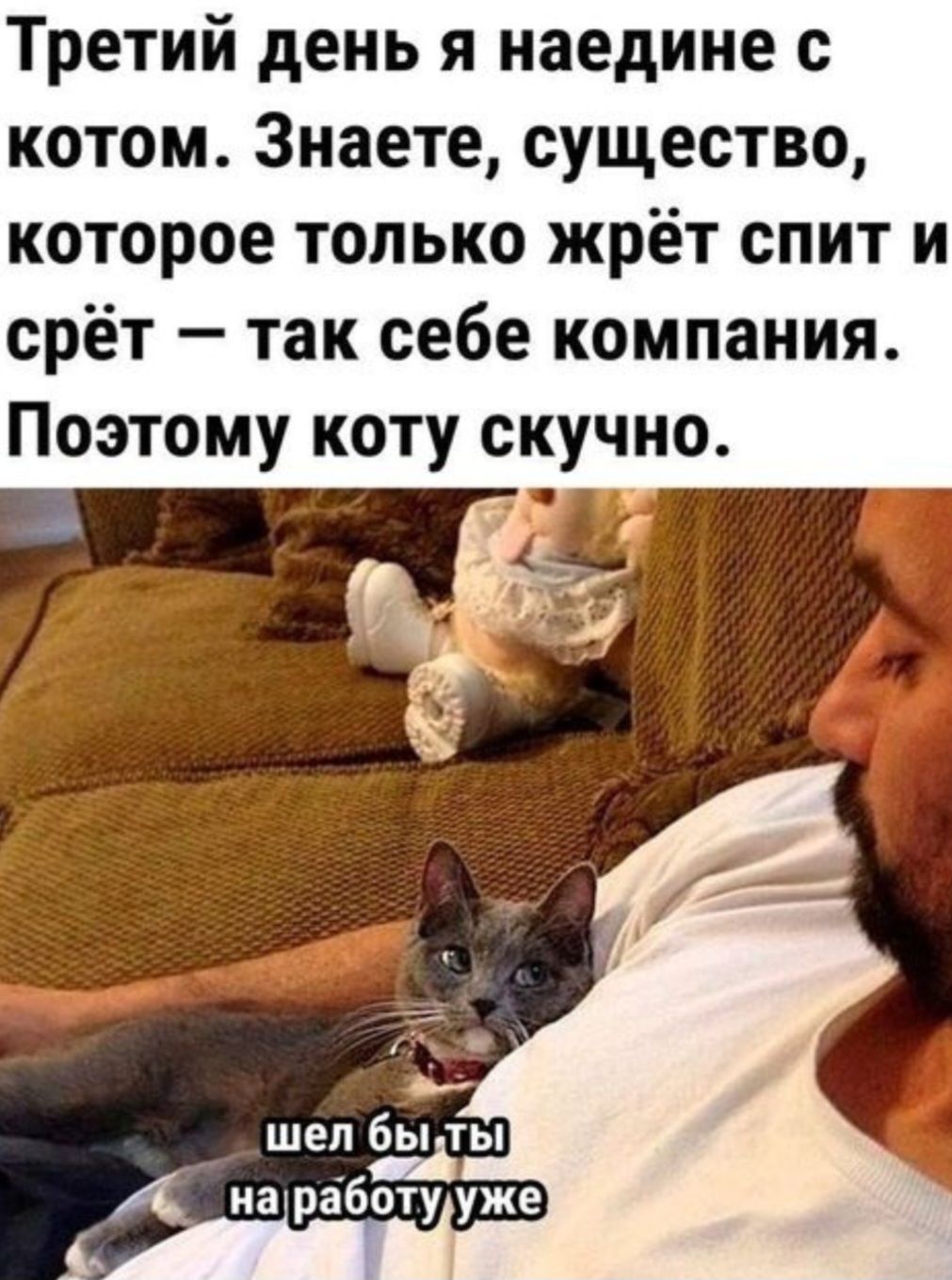 Третий день я наедине с котом Знаете существо которое только жрёт спит и срёт так себе компания Поэтому коту скучио