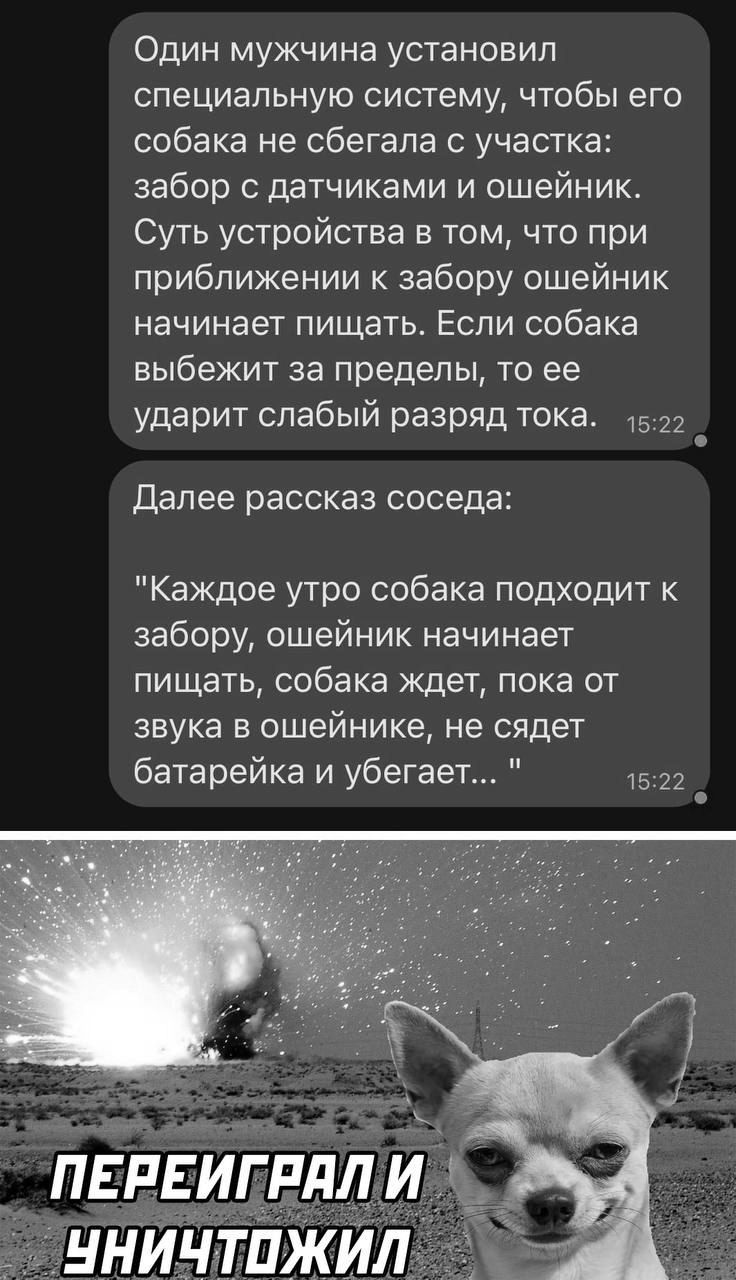 Один мужчина установил специальную систему чтобы его собака не сбегала с участка забор с датчиками и ошейник Суть устройства в том что при приближении к забору ошейник начинает пищать Если собака выбежит за пределы то ее ударит слабый разряд тока 152 Ч Далее рассказ соседа Каждое утро собака подходит к забору ошейник начинает пищать собака ждет пока от звука в ошейнике не сядет батарейка и убегает