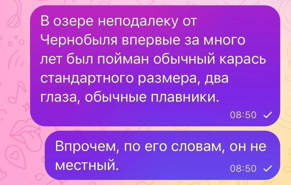 В озере неподалеку от Чернобыля впервые за много лет был пойман обычный карась стандартного размера два глаза обычные плавники Впрочем по его словам он не местный 850