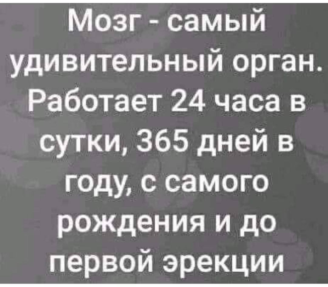 Мозг самый удивительный орган Работает 24 часа в сутки 365 дней в ко 1 АКедот 1е о рождения и до первой эрекции