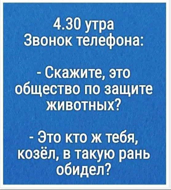 430 утра Звонок телефона Скажите это общество по защите ЖИВоТНЫх Это кто ж тебя козёл в такую рань обидел