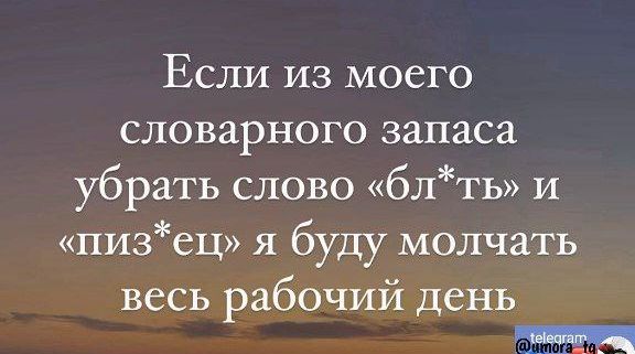 Если из моего словарного запаса убрать слово блть и пизец я буду молчать весь рабочий день