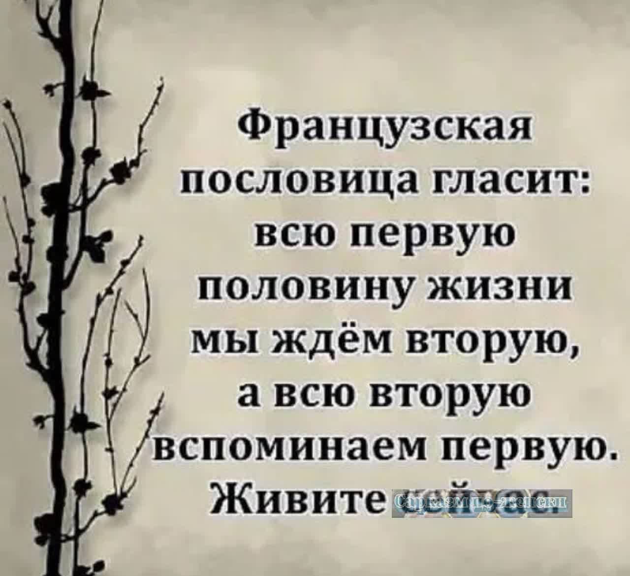 Французская пословица гласит всю первую половину жизни мы ждём вторую а всю вторую вспоминаем первую Живитесейчас