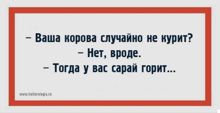 Ваша корова случайно не курит Нет вроде Тогда у вас сарай горит