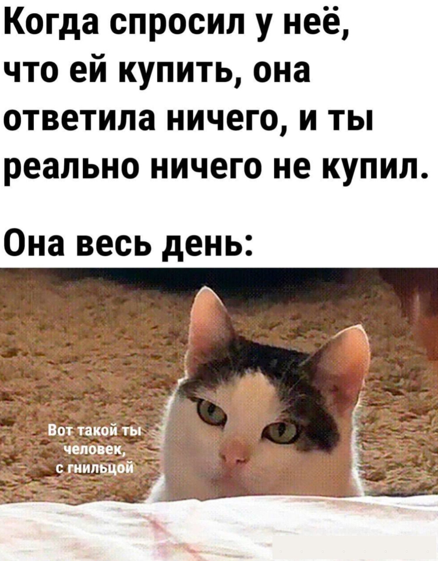 Когда спросил у неё что ей купить она ответила ничего и ты реально ничего не купил Она весь день