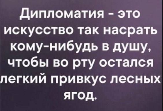 Дипломатия это искусство так насрать кому нибудь в душу чтобы во рту остался легкий привкус лесных ягод