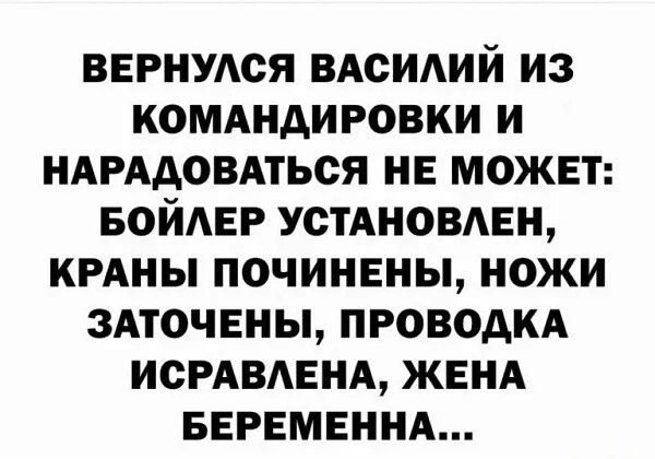 ВЕРНУЛСЯ ВАСИЛИЙ ИЗ КОМАНДИРОВКИ И НАРАДОВАТЬСЯ НЕ МОЖЕТ БОЙЛЕР УСТАНОВЛЕН КРАНЫ ПОЧИНЕНЫ НОЖИ ЗАТОЧЕНЫ ПРОВОДКА ИСРАВЛЕНА ЖЕНА БЕРЕМЕННА