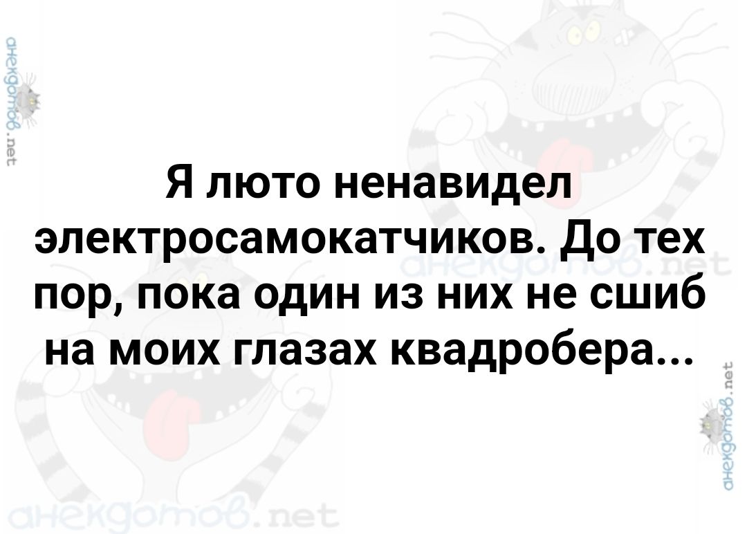 Я люто ненавидел электросамокатчиков До тех пор пока один из них не сшиб на моих глазах квадробера