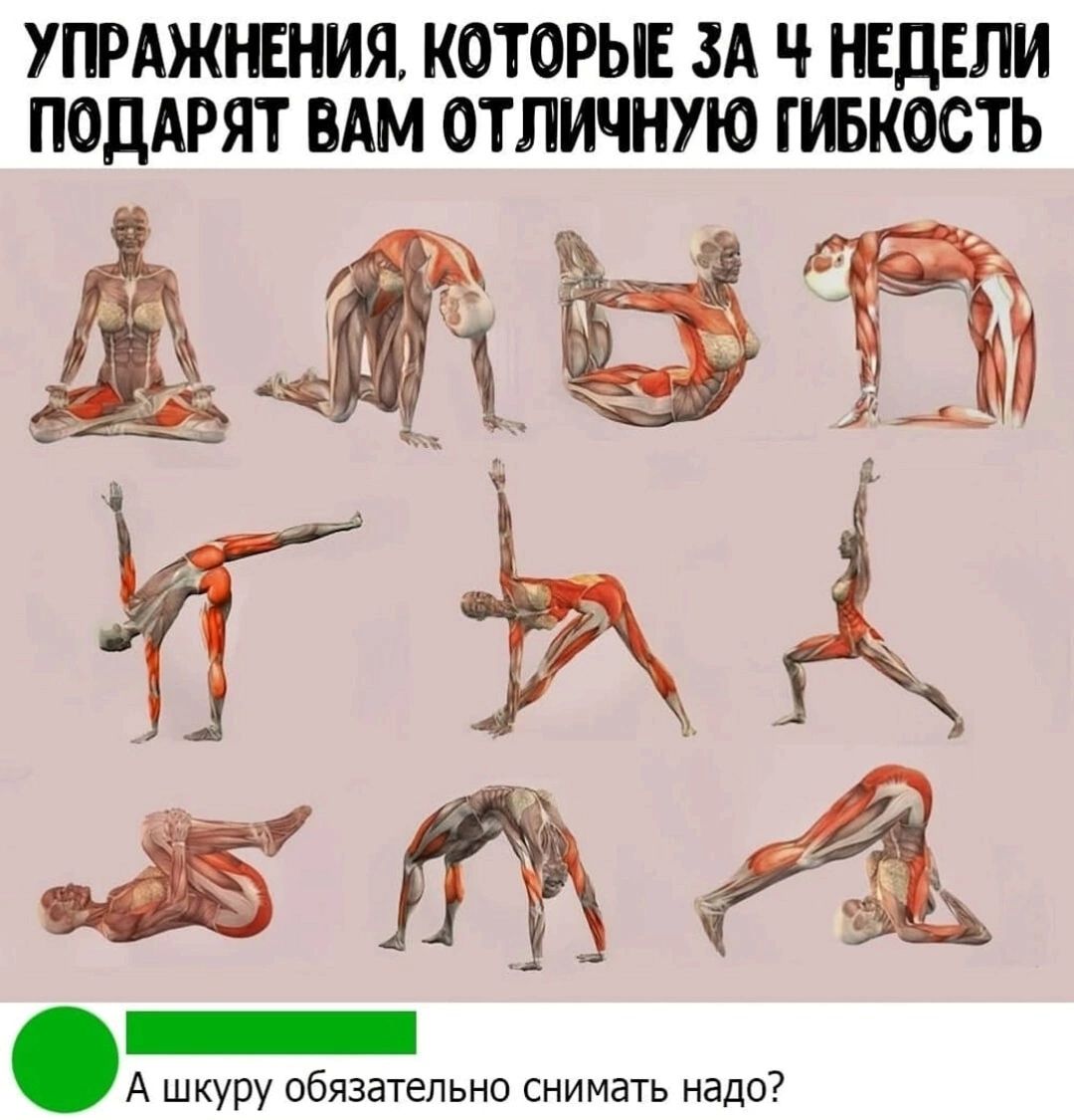 УПРАЖНЕНИЯ КОТОРЫЕ ЗА Ч НЕДЕЛИ ПОДАРЯТ ВАМ ОТЛИЧНУЮ ГИБКОСТЬ АМЫ і А шкуру обязательно снимать надо