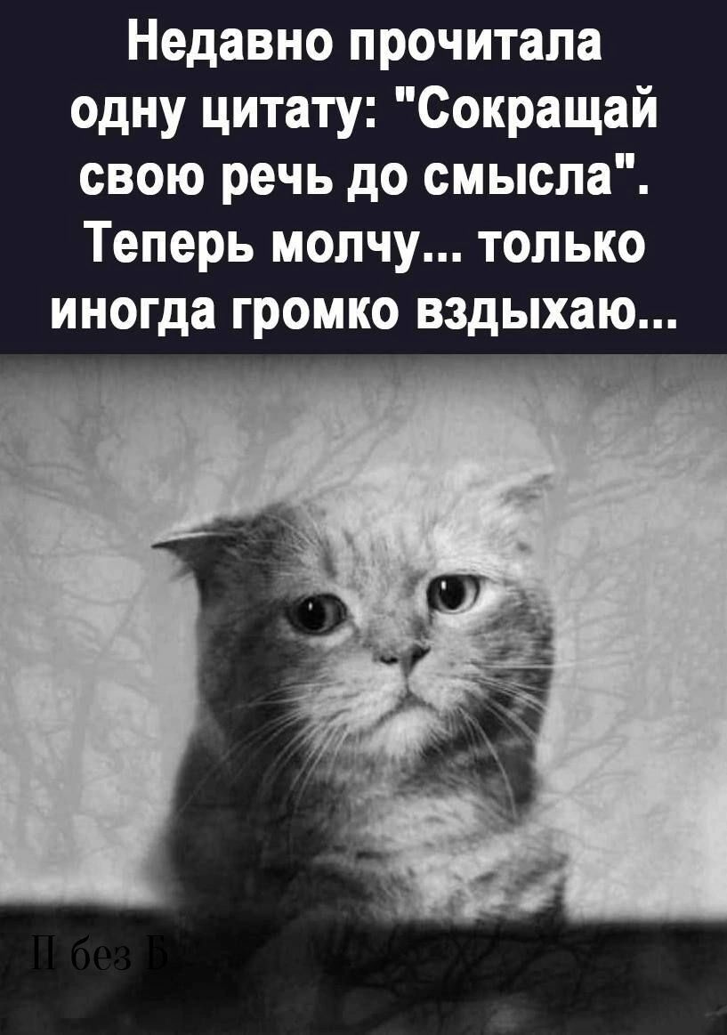 Недавно прочитала одну цитату Сокращай свою речь до смысла Теперь молчу только иногда громко вздыхаю