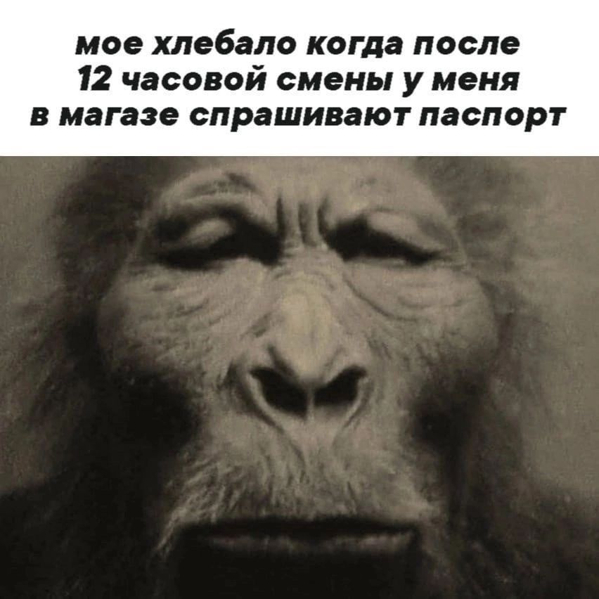 мое хлебало когда после 12 часовой смены у меня в магазе спрашивают паспорт