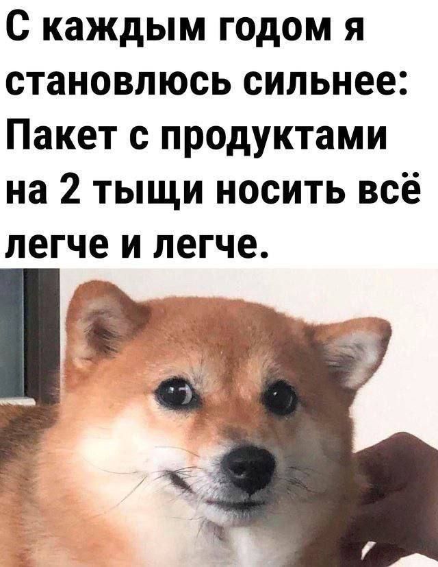 С каждым годом я становлюсь сильнее Пакет с продуктами на 2 тыщи носить всё легче и легче д ы