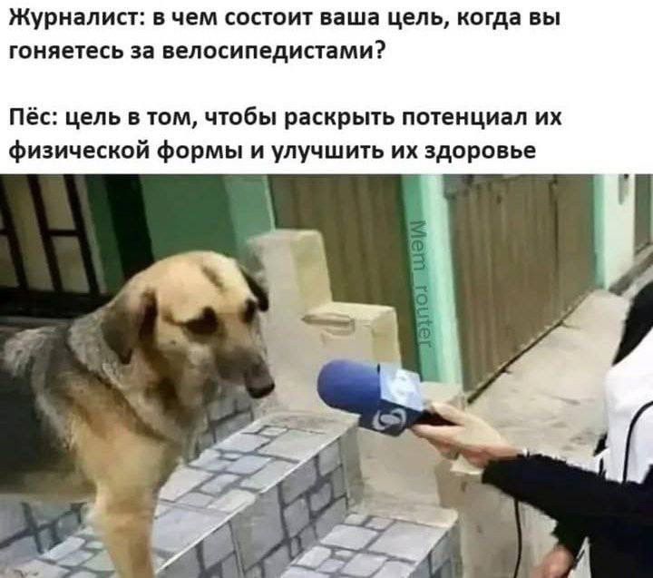 Журналист в чем состоит ваша цель когда вы гоняетесь за велосипедистами Пёс цель в том чтобы раскрыть потенциал их Ффизической формы и улучшить их здоровье