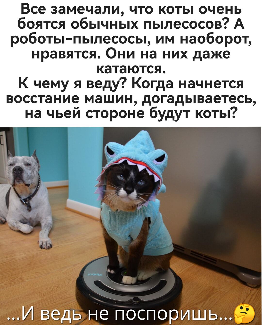 Все замечали что коты очень боятся обычных пылесосов А роботы пылесосы им наоборот нравятся Они на них даже катаются К чему я веду Когда начнется восстание машин догадываетесь на чьей стороне будут коты ЛЙ ведьне поспоришь